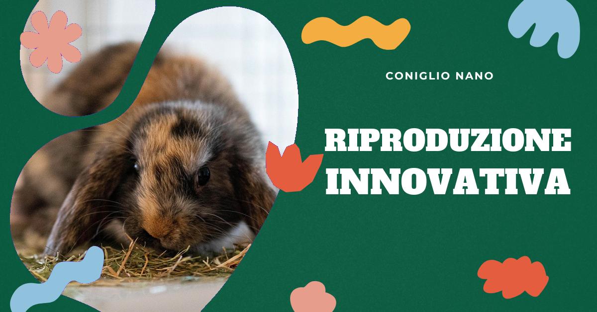 Scopri le ultime tendenze avanzate nella riproduzione dei conigli. Approfondisci le nuove tecnologie, le strategie all