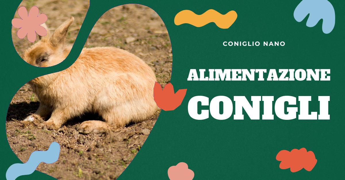 Scopri cosa mangia il coniglio nano per garantire una dieta equilibrata e sana. Informazioni dettagliate su fieno, frutta, verdura e pellet, oltre a consigli su cosa evitare per il benessere del tuo piccolo amico.