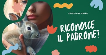 come-riconoscono-il-padrone-i-conigli-nani