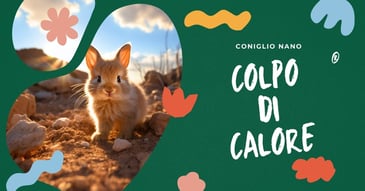 coniglio-colpo-di-calore