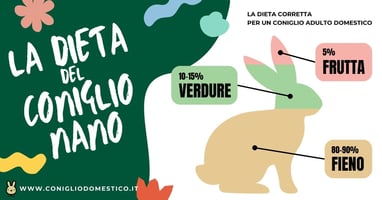 la-dieta-corretta-per-un-coniglio-adulto-domestico