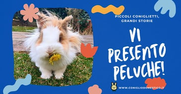 piccoli-coniglietti-grandi-storie-vi-presento-peluche