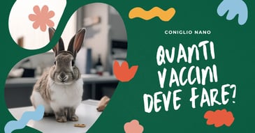 quanti-vaccini-deve-fare-un-coniglio-nano