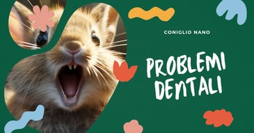 salute-dentale-coniglio-alimentazione-corretta