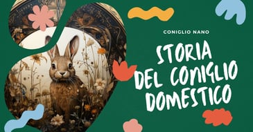 storia-addomesticamento-conigli