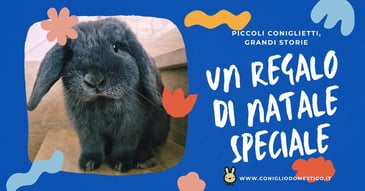 un-regalo-di-natale-speciale